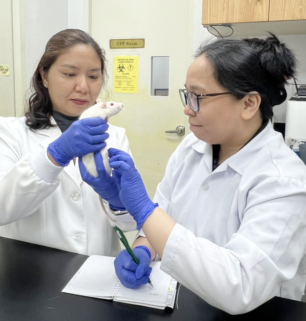 Inhaled Solvent Addiction leads to poor decision-making and social ...