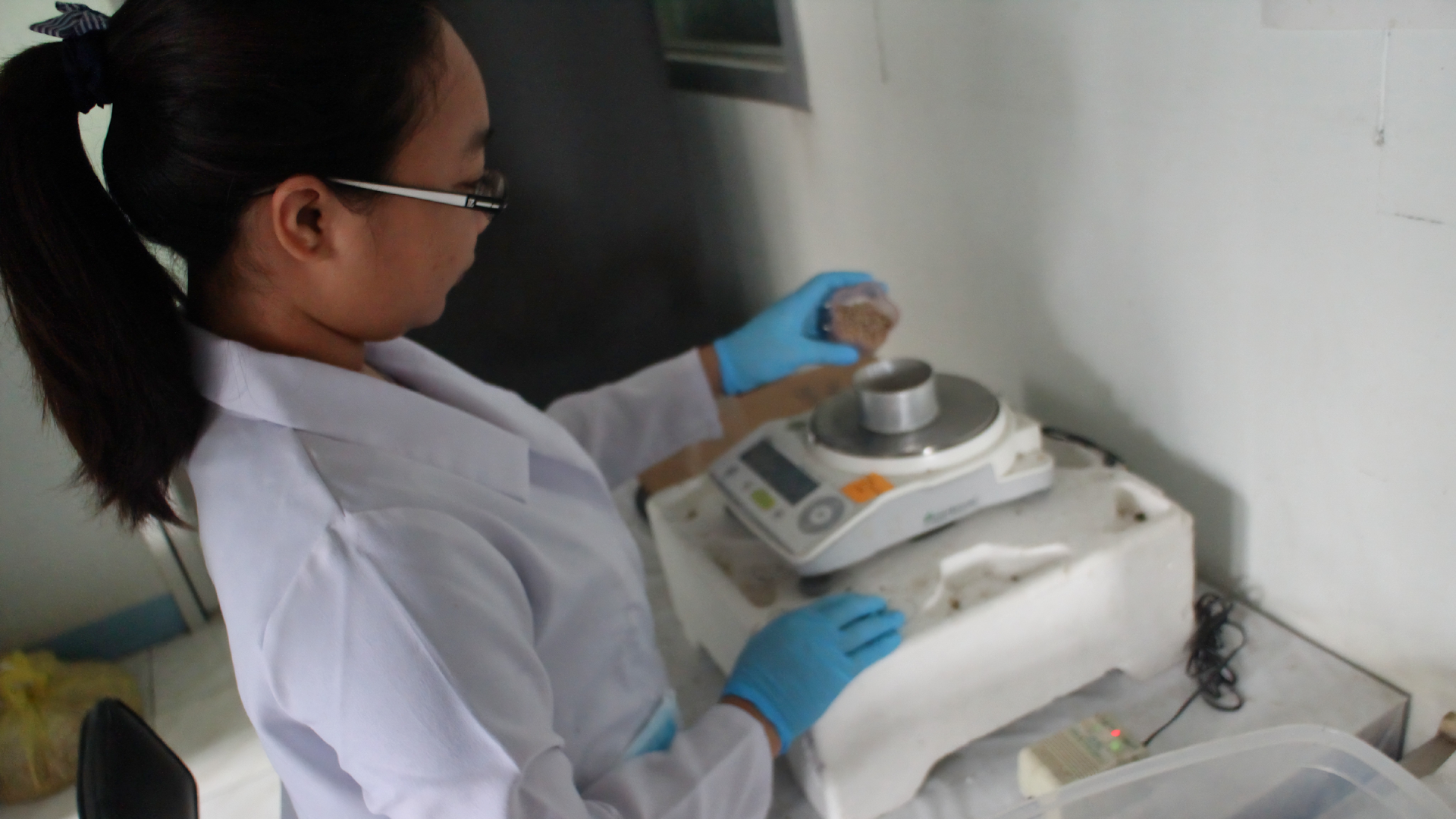 Researcher doing Laboratory Work