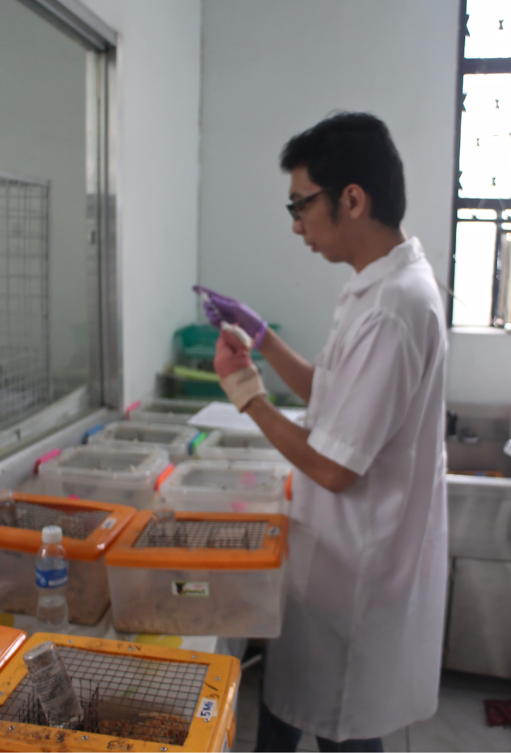 Researcher doing a procedure